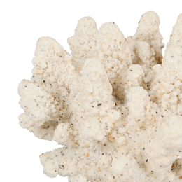 Korallipatsas 15cm, hiekka