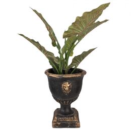 Leijonaruukku 42cm, musta